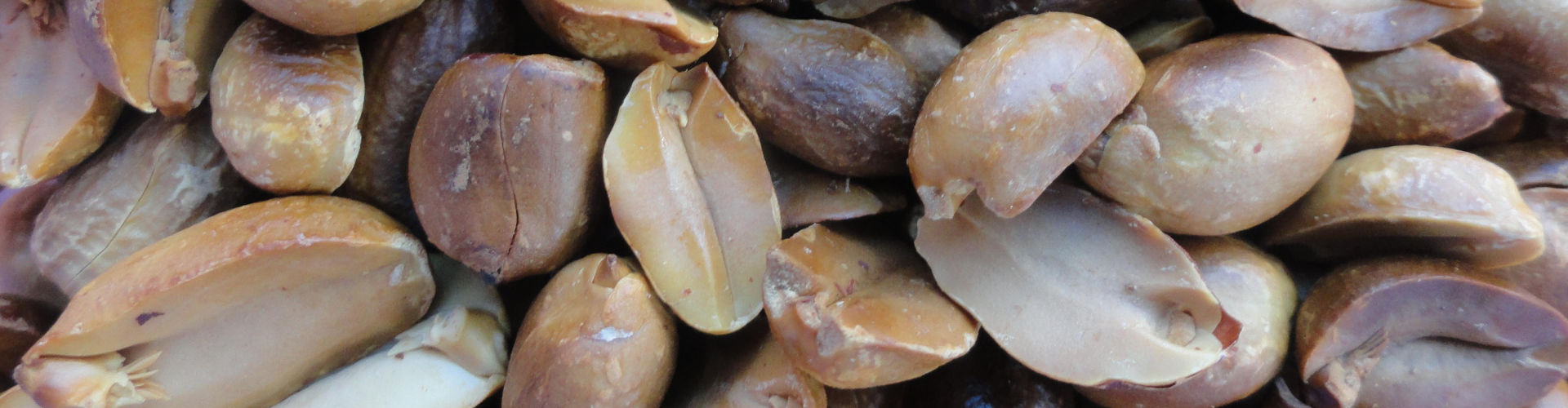 Les allergies alimentaires